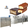 Commercial Caramel Small Chocolate Bar Making Enrober Coater Machine Snack Chocolate Enrober Machine with Cooling Tunnel